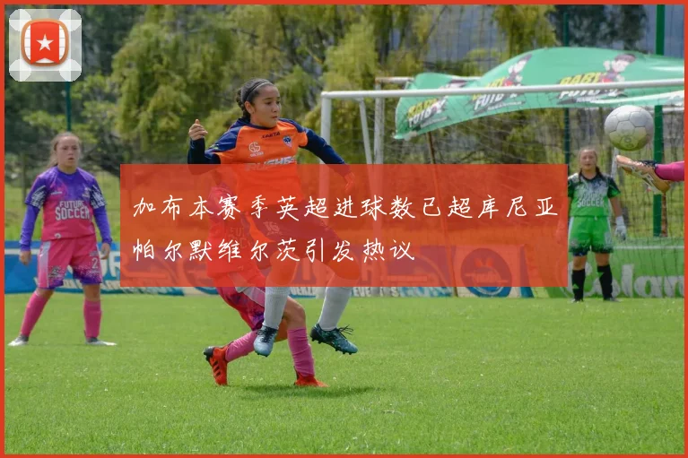 加布本赛季英超进球数已超库尼亚帕尔默维尔茨引发热议