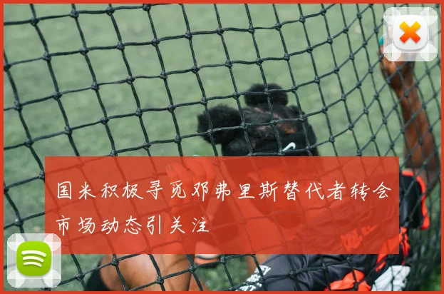 国米积极寻觅邓弗里斯替代者转会市场动态引关注